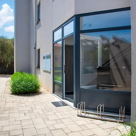 First Choice 로고즈니차